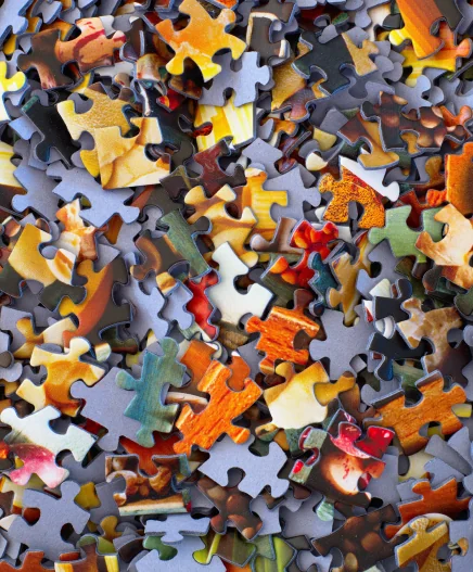 The missing piece for effective climate action campaigns